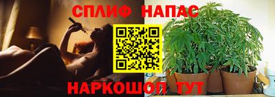 индика Краснодар