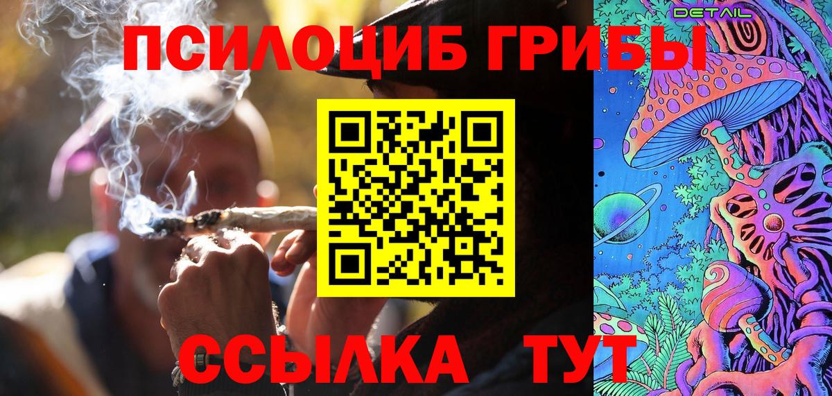 Псилоцибиновые грибы Psilocybe Кизилюрт